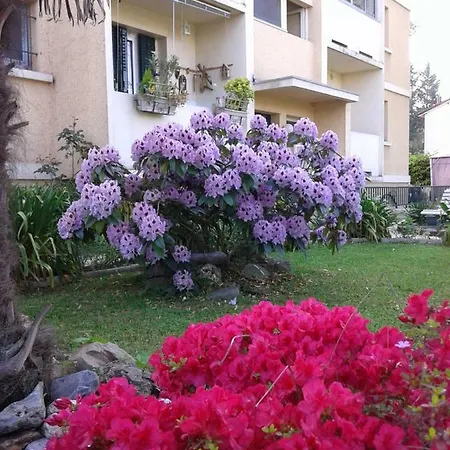Les Floralies * Pau